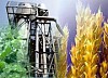 Алтайский край будет добывать энергию из биоотходов