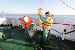 «Роснефть» провела фоновый экологический мониторинг в Хатангском заливе в море Лаптевых