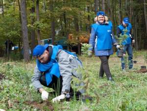 «МОЭСК» провела компенсационные высадки деревьев и кустарников в подмосковном Жуковском