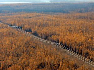 «Якутскэнерго» восстанавливает поврежденную природным пожаром ЛЭП в Усть-Майском районе
