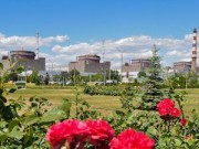 МАГАТЭ проводит инспекцию на Запорожской АЭС