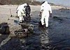 В Ростовской области устраняют разлив нефти