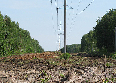 44 га просек под ЛЭП расчистили энергетики из «Балахнинских электрических сетей»