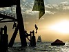 Гринпис требует запретить нефтедобычу в Средиземном море