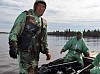 Морошка на болотах Ижемского района Коми покрыта нефтяной плёнкой