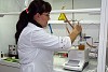 На Вологодском предприятии ФСК ЕЭС внедрено оборудование нового поколения для анализа трансформаторного масла