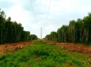 Челябинская прокуратура выявила нарушения при расчистке просек ЛЭП в национальном парке «Таганай»