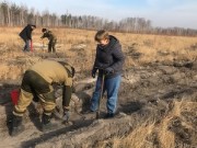 Урановый холдинг «АРМЗ» поддержал программы лесовосстановления Зауралья и Бурятии