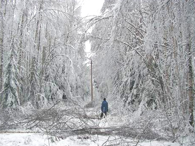 Бригады «Псковэнерго» восстанавливают электроснабжение, нарушенное снежной стихией