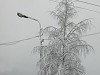«Прионежская сетевая компания» ликвидирует последствия снегопада