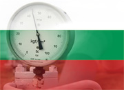 Премьеры РФ и Болгарии обсудят энергопроекты