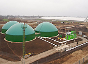 Томские власти разработали концепцию биоэнергетического кластера