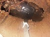 На нефтепроводе «Лисичанск-Тихорецк 1» обнаружена несанкционированная врезка