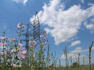 Максимум потребления мощности в Саратовской области в октябре составил 1749 МВт