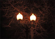 В новогодние праздники на улицах Оренбурга зажгутся 43 000 светильников