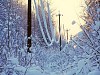 Налипший на проводах снег обесточил 8 ЛЭП в зоне ответственности «Котласских электросетей»