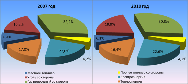 Структура потребления топливно-энергетических ресурсов в Свердловской области в 2007 и 2010 гг.