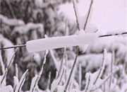 Работа подстанции 330 кВ Южная в Санкт-Петербурге полностью восстановлена, причиной аварии стал грязный снег, обильно засыпанный реагентами