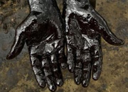 Жажда нефти усилилась