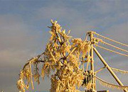 Энергетики Дагестана ведут борьбу с последствиями непогоды