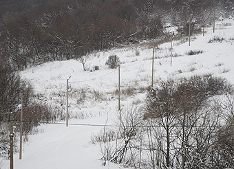 Тамбовские энергетики электрифицировали лыжную трассу в селе Караул