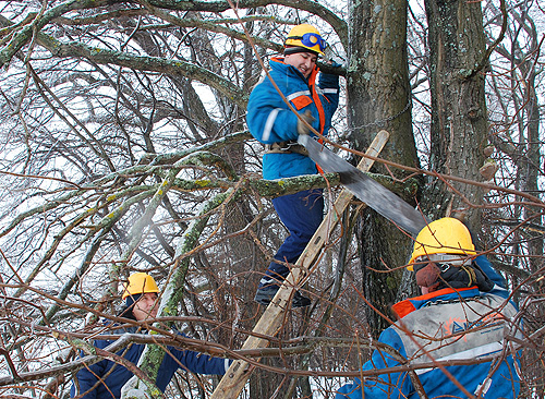 Тамбовские энергетики восстанавливали электроснабжение в Московской области