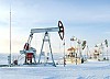 Показатели работы «Татнефти» за декабрь и с начала 2010 года