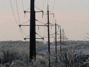 Причины повреждения ЛЭП в Калининградской области - пиротехника и бобры