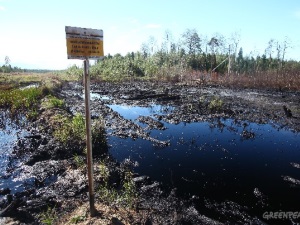 Гринпис: практика занижения статистики нефтяных разливов приводит к экологическим катастрофам