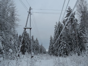«Карелэнерго» восстановило электроснабжение, нарушенное снегопадом