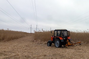 На юге России началась очистка трасс ЛЭП от зарослей камыша