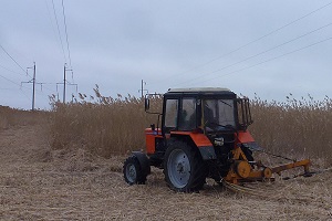 ФСК ЕЭС расчистит от сухого камыша более 340 га трасс ЛЭП