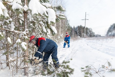 Энергетики Московской области расчистят более 3220 га просек  ЛЭП