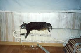 Спецкомиссия выявит причины внештатной ситуации на Пензенской ТЭЦ-1