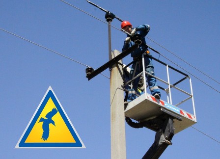 «Нижновэнерго»: одним выстрелом двух зайцев