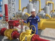 Экспорт казахстанского газа в Китай вырастет до 10 млрд кубометров в год