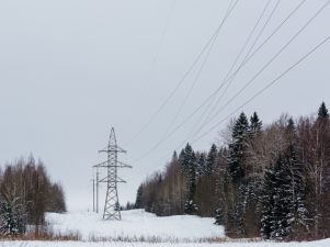 «Вологдаэнерго» построило новую ЛЭП для деревообрабатывающего предприятия