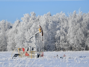 «Татнефть» оборудовала пакерами 80% действующего фонда скважин