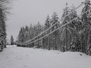 «Псковэнерго» задействовало 26 передвижных источника электроснабжения