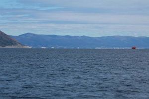 В 2019 году КТК установил новый рекорд годовой отгрузки на Морском терминале