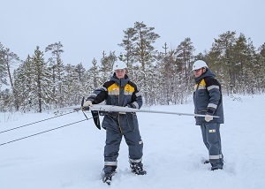 «РН-Пурнефтегаз» поддержал федеральный экологический проект «Чистая страна»
