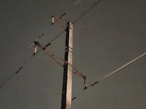 В Липецкой области вандалы расстреляли изоляторы на высоковольтной ЛЭП