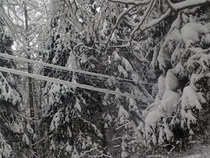 «Ивэнерго» ликвидирует обледенение на ЛЭП в лесных массивах