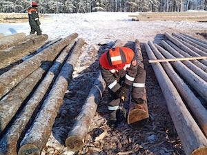 Энергетики ЦЭС «Якутскэнерго» занялись заготовкой энерголеса