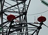 «Россети Юг» в 2023 году установили на ЛЭП более 5,5 тысячи птицезащитных устройств