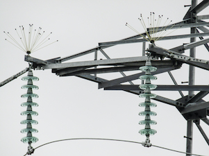 «Россети Тюмень» оснащают ЛЭП птицезащитными устройствами