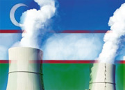 Узбекистан в 2009 году завершит первый этап модернизации Ново-Ангренской ТЭС