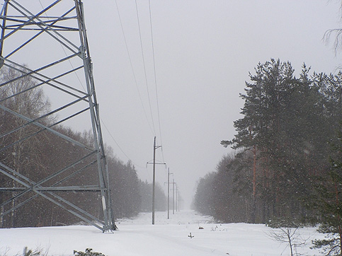 В «Псковэнерго» важнейшей в ремонтной программе станет расчистка трасс ЛЭП