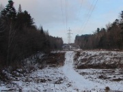 «МРСК Волги» устранила нарушения в работе электросетевого комплекса Саратовской области