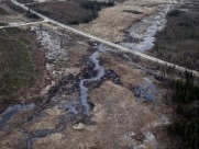 Гринпис: нельзя позволять нефтяному бизнесу зарабатывать на разрушении природы